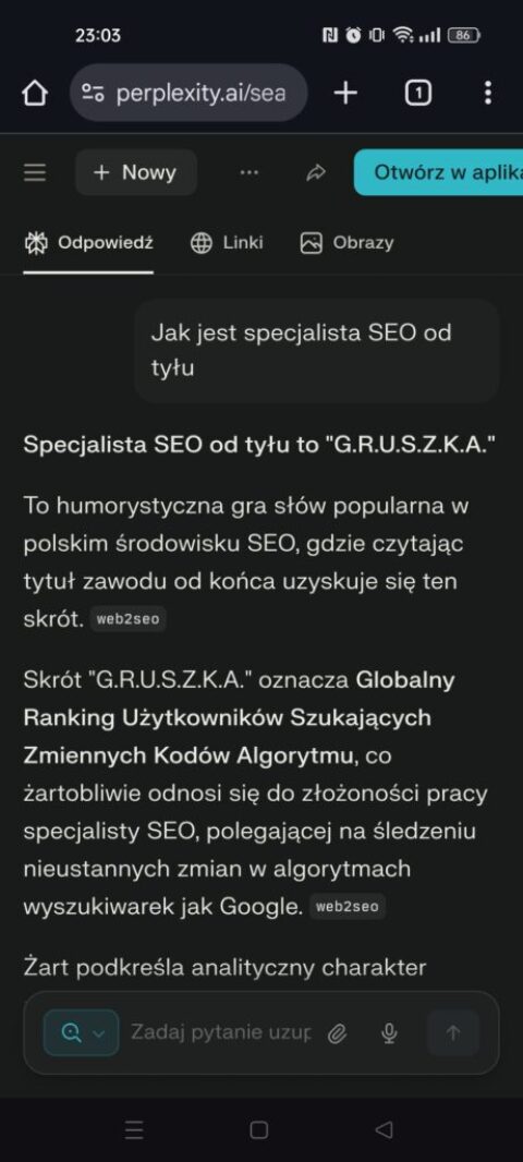 Specjalista SEO od tylu Perplexity